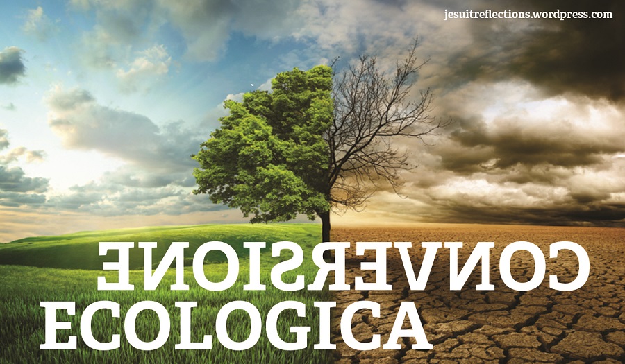 Le preferenze apostoliche universali dei gesuiti