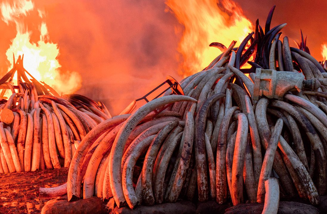 Presentazione di un libro presso la comunità dei gesuiti di Villapizzone a Milano