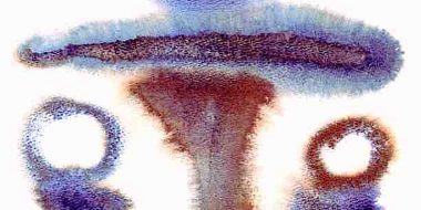 La-nascita-della-nuova-umanita