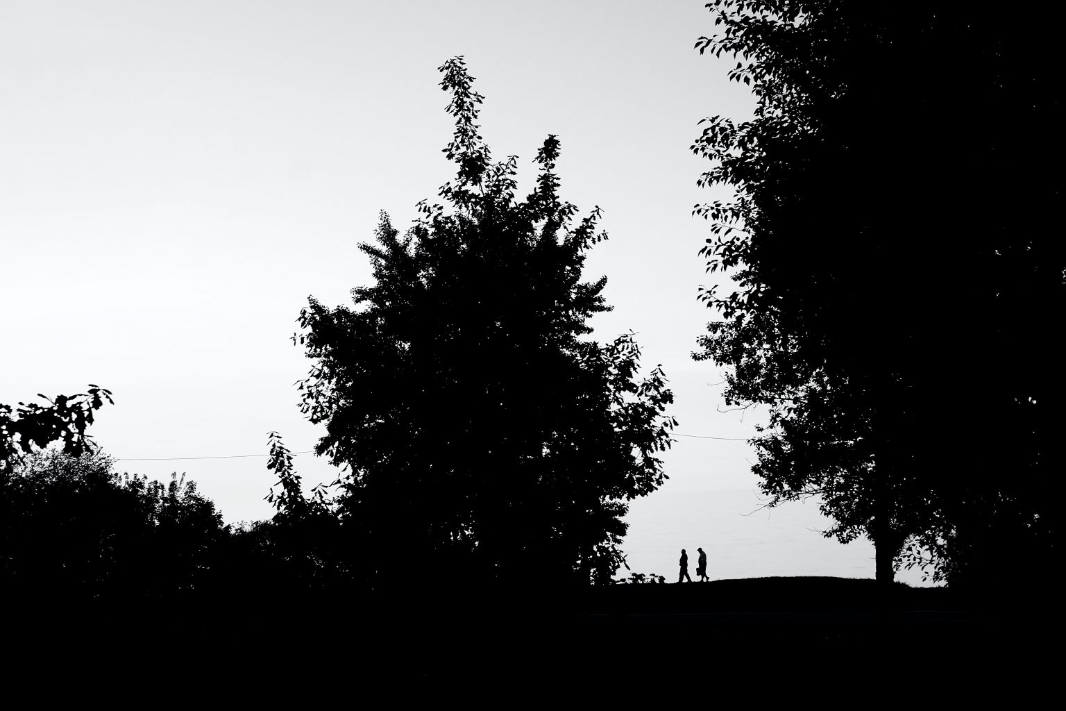 Incontro